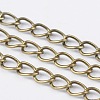 Iron Side Twisted Chain CH-DK0.9-AB-FF-1