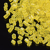 8/0 Two Cut Glass Seed Beads SEED-S033-11A-02-2