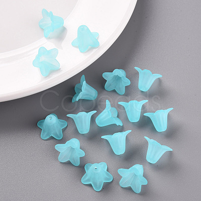 Transparent Acrylic Beads PLF018-13-1
