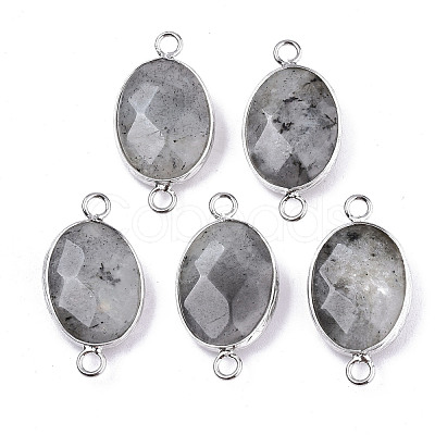 Natural Labradorite Links/Connectors G-T131-102-14-1