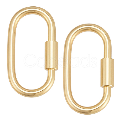 2Pcs 925 Sterling Silver Locking Carabiner STER-BC0003-93-1