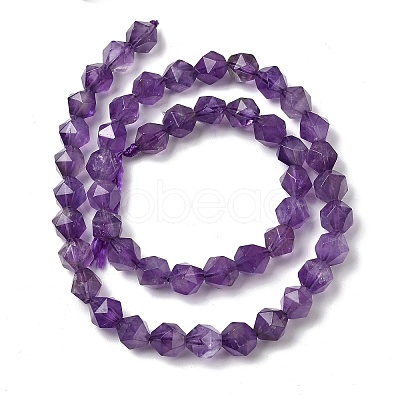 Natural Amethyst Beads Strands G-Z119-A40-02-1