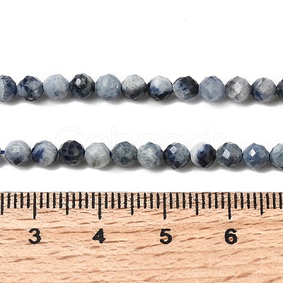 Natural Sapphire Beads Strands G-G343-B05-4mm-1
