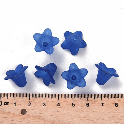Transparent Acrylic Beads PLF018-10-1