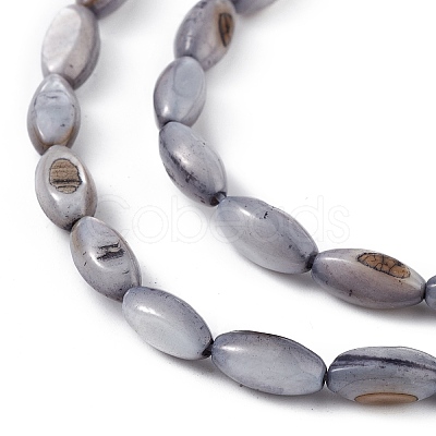 Natural Freshwater Shell Dyed Beads Strands X-SHEL-M018-13-04-1