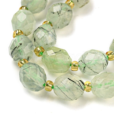 Natural Prehnite Beads Strands G-N342-43-1