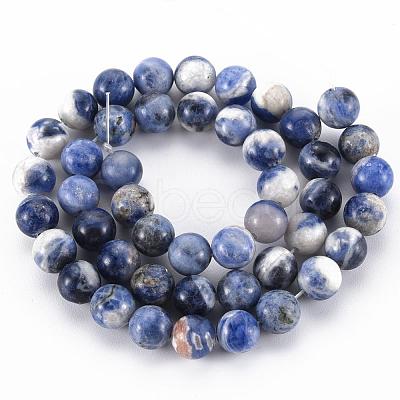 Natural Sodalite Beads Strands G-S279-10-8mm-1