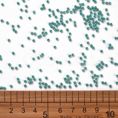 11/0 Grade A Baking Paint Glass Seed Beads X-SEED-N001-A-1015-1