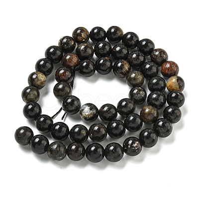 Natural Phlogopite Beads Strands G-P546-A01-03-1