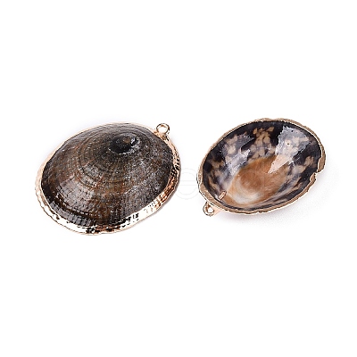 Electroplated Golden Brass Edged Natural Sea Shell Pendants SSHEL-Q101-01-1