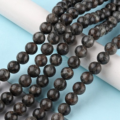 Natural Labradorite Beads Strands G-G0003-C03-1