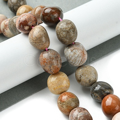 Natural Fossil Coral Beads Strands G-G117-A01-01-1