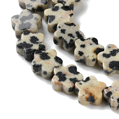Natural Dalmatian Jasper Beads Strands G-B138-C08-01-1