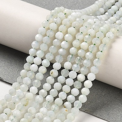 Natural Green Opal Beads Strands G-Z035-A02-02C-1