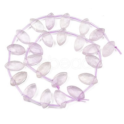 Natural Amethyst Beads Strands G-P607-A05-01-1