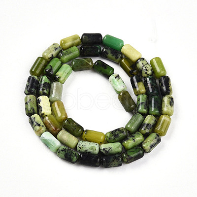 Natural Serpentine Beads Strands G-N346-01A-04-1