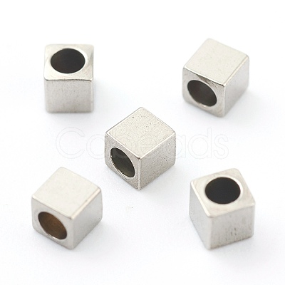 Non-Tarnish 304 Stainless Steel Beads LS-STAS-H160-01D-P-1