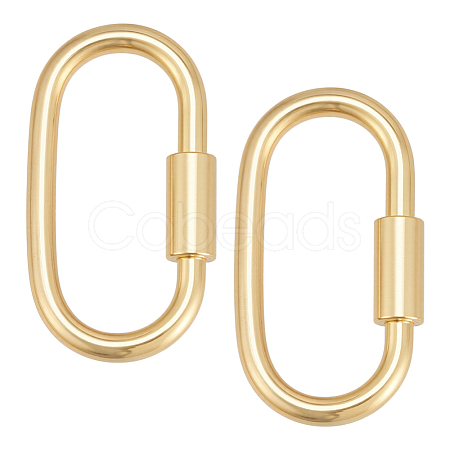 2Pcs 925 Sterling Silver Locking Carabiner STER-BC0003-93-1