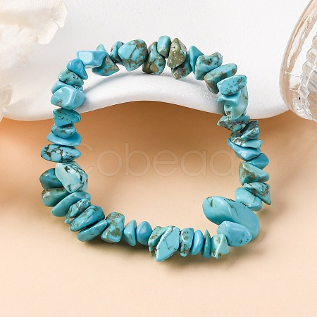 Unisex Chip Synthetic Turquoise(Dyed) Beaded Stretch Bracelets BJEW-S143-05-1