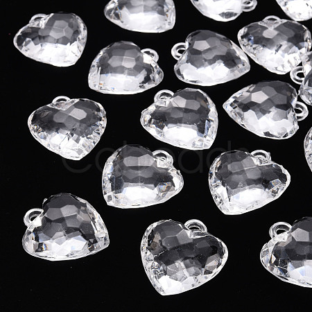 Transparent Acrylic Pendants TACR-T024-03B-205-1