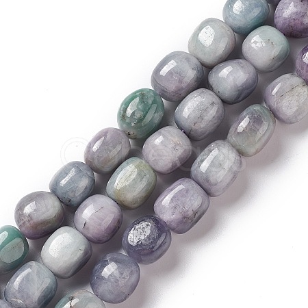 Natural Kunzite Beads Strands G-K331-005B-1