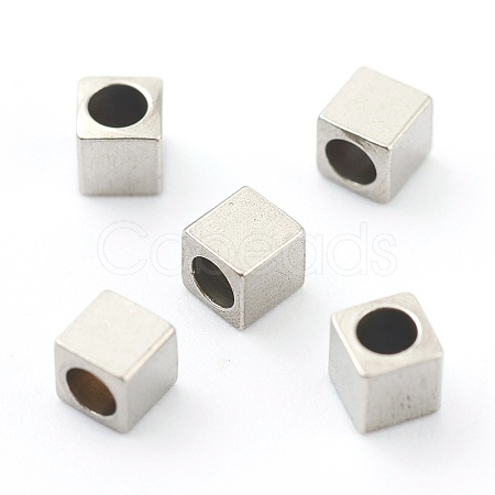 Non-Tarnish 304 Stainless Steel Beads LS-STAS-H160-01D-P-1
