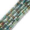 Natural HuBei Turquoise Beads Strands G-M411-A01-02-1