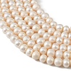 Natural Cultured Freshwater Pearl Beads Strands PEAR-L034-17D-3