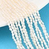 Natural Cultured Freshwater Pearl Beads Strands PEAR-D003-01D-02-1