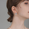 1 Pair 316 Surgical Stainless Steel Hoop Earrings EJEW-BBC0001-64A-5