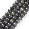 Natural Black Labradorite Beads Strands G-S333-6mm-021B-1