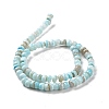 Natural Cultured Freshwater Shell Beads Strands SHEL-F002-01B-3