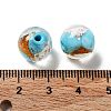 Handmade Lampwork Beads LAMP-H065-01C-4