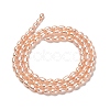 Natural Cultured Freshwater Pearl Beads Strands PEAR-E016-141-2