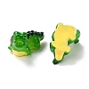 Resin Cabochons LS-RESI-I043-09-3