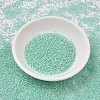 MIYUKI Delica Beads SEED-MY11-DB1707-2