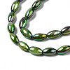 Freshwater Shell Beads Strands SHEL-N026-141B-3