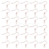 316 Surgical Stainless Steel Earring Hooks STAS-P220-13RG-1
