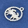 Twelve Constellations Alloy Pendants PALLOY-Q006-01A-S-2