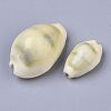 Natural Cowrie Shell Beads SSHEL-N034-B-26-2