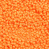 11/0 FGB Grade A Round Glass Seed Beads SEED-N001-A-1066-2