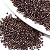 FGB 11/0 Grade A Glass Seed Beads X-SEED-S030-1205-1