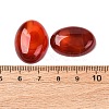 Natural Carnelian Cabochons G-D860-A22-4