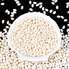 500Pcs Baking Paint Glass Seed Beads SEED-PA0001-05B-3
