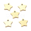 Ion Plating(IP) 304 Stainless Steel Pendants STAS-K216-46G-2