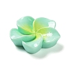 Opaque Resin Cabochons RESI-G068-02B-3