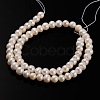 Natural Cultured Freshwater Pearl Beads Strands PEAR-E002-26-01-2