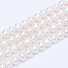 Natural Cultured Freshwater Pearl Beads Strands PEAR-R063-08-1