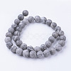 Natural Map Stone/Picasso Stone/Picasso Jasper Bead Strands G-G735-27F-10mm-2