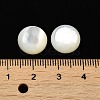 Natural White Shell Cabochons SSHEL-M022-01D-3